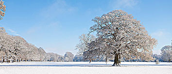 青海队不敌山东男篮，迎来一场惨败